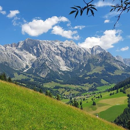 Schernthaner Daire Taxenbach Dış mekan fotoğraf