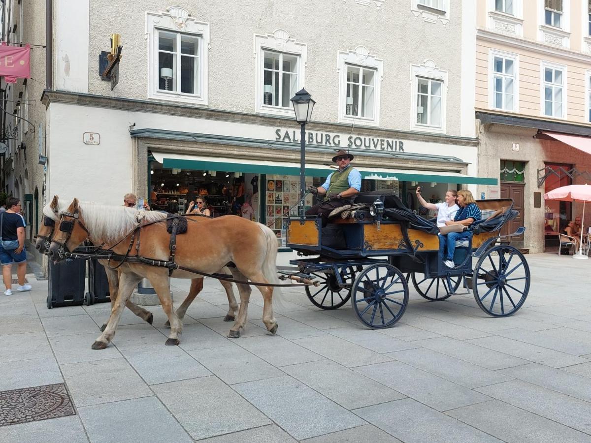 Schernthaner Daire Taxenbach Dış mekan fotoğraf